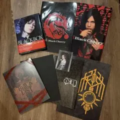 2026年最新】acid black cherry blackboxの人気アイテム - メルカリ