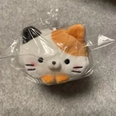 もちふわ！ ころころにゃんこ 八重山 石垣島 限定 いりおもてやまねこ
