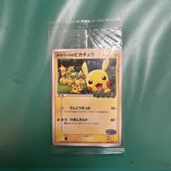 ポケパークのピカチュウ PROMO PCG-Pプロモカード 　未開封
