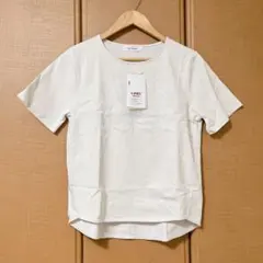 バストレースTシャツ　こりん　collin × Se-Simte コラボ