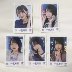 =LOVE イコラブ ミニフォトカード vol.3 野口衣織 コンプ