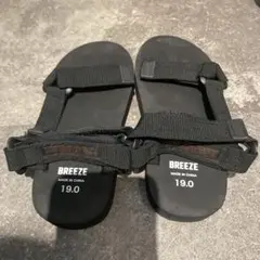 Item thumbnail for item 173ca262-4c5a-48c8-9846-b28b8f5c559c