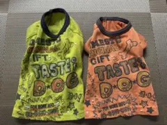 Item thumbnail for item 83ec0258-a4d0-425d-8126-6cb24b7f0daf