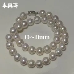 照り強&大珠✨️ あこや真珠 パール ネックレス 約8~9mm 本真珠 鑑別所