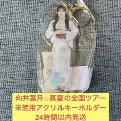 2025年最新】向井葉月 アクスタの人気アイテム - メルカリ