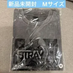 Stray Kids スキズ Tシャツ Mサイズ【匿名配送】 - メルカリ