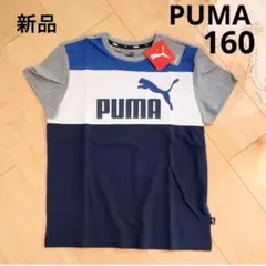 PUMA プーマ　カラーブロック半袖Tシャツ　160　青　新品　コットン　ブルー