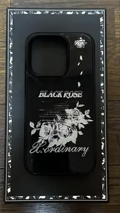X:ordinary iPhone14Pro 애쉬 ashisland