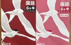 四谷大塚シリーズ　国語　小6下　有名校対策