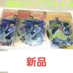 ミセス大森サン藤澤サン、クリアファイル、美品13日までお値下げセール❕