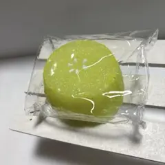 水感 スクイーズ キウイ