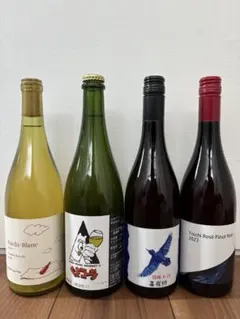 ランセッカ イレンカ じきの畑 山田堂 北海道ワイン6本セット - メルカリ