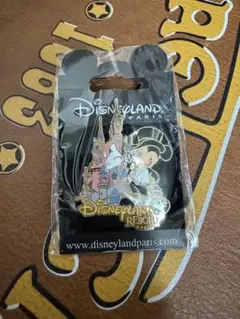 ディズニーランドパリ　ミッキー　ピンバッジ　ピンズ　パリ限定