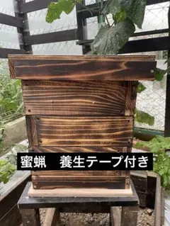 重箱式巣箱台 290ミリ用 ニホンミツバチ 鉄製台 - メルカリ