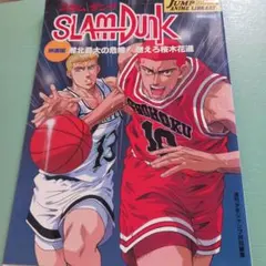 スラムダンク SLAM DUNK ポスター 流川楓 バックダンクシュート 激レア