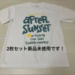 マラソンTシャツ　ポロシャツ　Mサイズ Lサイズセット