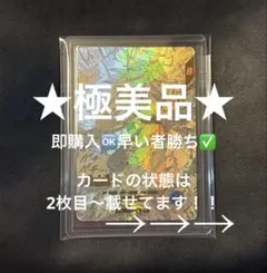 【極美品】孫悟空3GDR★ パラレル APT-006