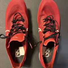 ナイキ　ドラゴンフライ　BTC 26.0