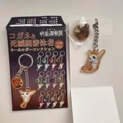 呪術廻戦展 コガネ＆死滅回遊泳者 キーホルダーコレクション 石流龍
