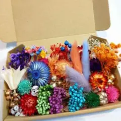 ✿花材詰め合わせ/ドライフラワー.プリザーブドフラワー /⑹