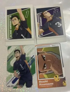 ハイキュー 澤村大地 東峰旭 ぱしゃこれ スナップマイド クリアカード 4枚