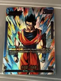 ベジット　secパラレル　孫悟飯青年期　リーダーパラレル ベジット secパラレル 孫悟飯青年期 リーダーパラレル ベジット