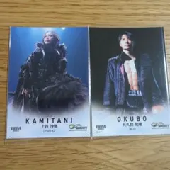 Item thumbnail for item 322ab466-a5d8-4bd3-ba14-311dd8ace36f