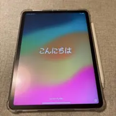 【早い者勝ち】Apple iPad Pro2018 11インチ