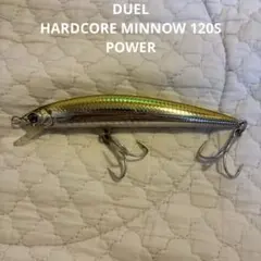 6"【美品】DUEL HARDCORE MINNOW 120S POWERのサムネイル