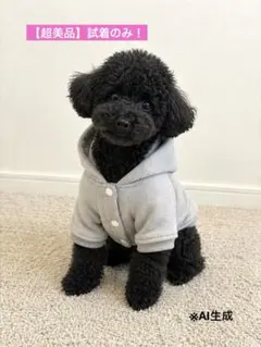 【超美品】試着のみ！小型犬用パーカー（S）