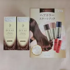ヘアボーテ エクラ ボタニカル エアカラーフォームEX ダークブラウン 2本のサムネイル