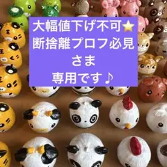 大幅値下げ不可⭐️断捨離プロフ必見さま専用 大幅値下げ不可⭐️断捨離プロフ必見さま専用 - メルカリ