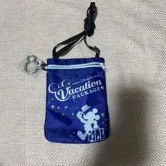 ディズニー　バケパ　ポーチ　ショルダーバッグ