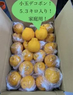 家庭用！ハウス栽培、小玉、デコポン！５.３キロ、２４玉〜３０玉入り！ 熊本産のサムネイル