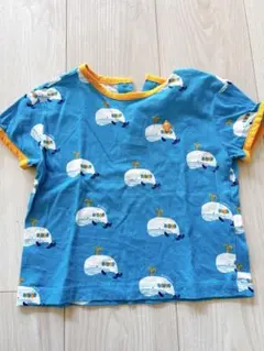 Item thumbnail for item dcadebed-eeaf-4187-b829-29669523709c