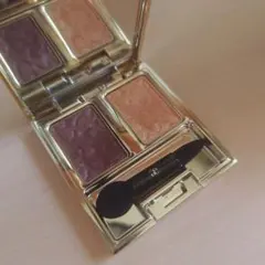 エレガンス　クリスマスコフレ　アイシャドウ 106