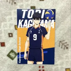 【ハイキュー】影山飛雄（ポストカード）