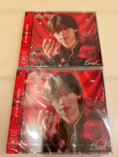 Lienel 愛のダバダ 芳賀柊斗盤 2枚セット