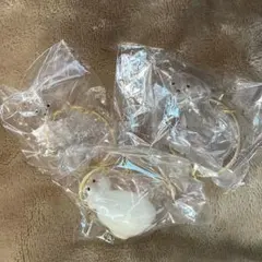 うちの子のけだまだま 犬 プードル/白たれみみ/柴犬