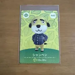 アミーボ カード シャンペン