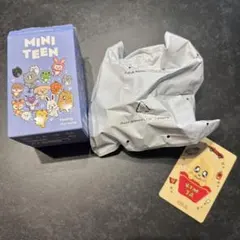 MINITEEN POP MARTフィギュア ミンギュ KIMJA