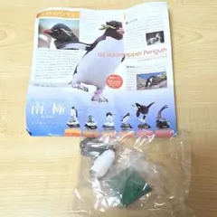 イワトビペンギン 南極 特装版 ネイチャーテクニカラー カプセルトイ ガチャ