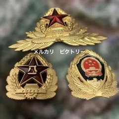 最新型中国人民解放軍現役21式礼服儀仗隊徽章類超フルセット10点