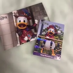 ディズニーハロウィン 2025 ドナルドダック