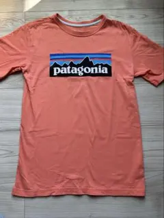 パタゴニア キッズ 半袖 Tシャツ USサイズXL14