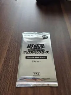 20周年記念 未開封 女剣士カナン