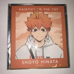 ハイキュー 日向翔陽 東武動物公園コラボ 色紙