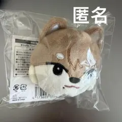 NEXZ ソゴン SOGEON ゴンスキー