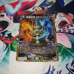 カクメイジン　b カクメイジン b