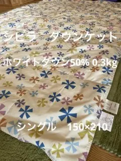 丸洗い可【シビラ】羽毛肌掛布団 ダウンケット（150×210）モリノビエント　Wのサムネイル